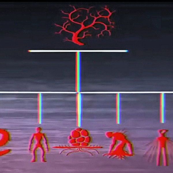 Vita Carnis - Living Meat Documentary