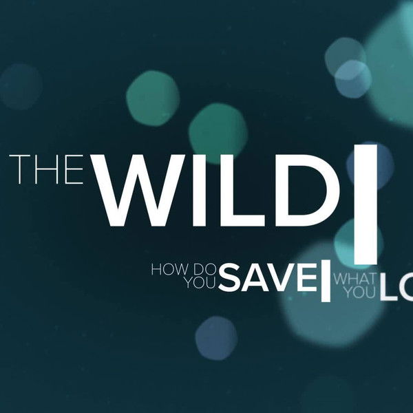 The Wild