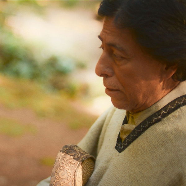 WHAT HIDES WHITIN THE SHADOWS