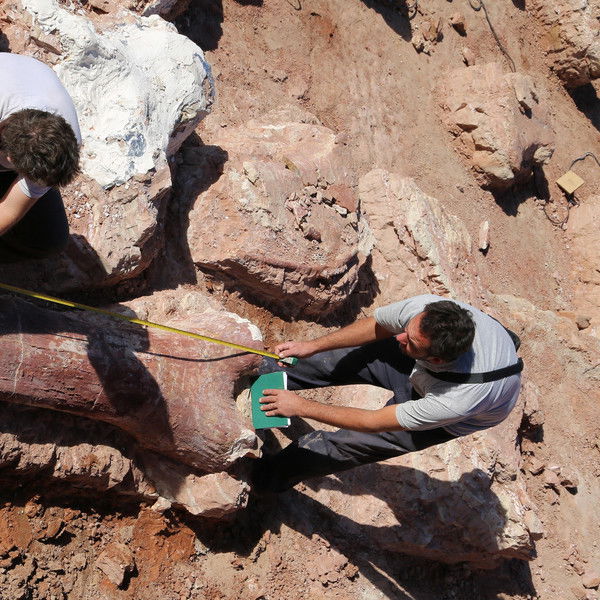 Attenborough and the Giant Dinosaur
