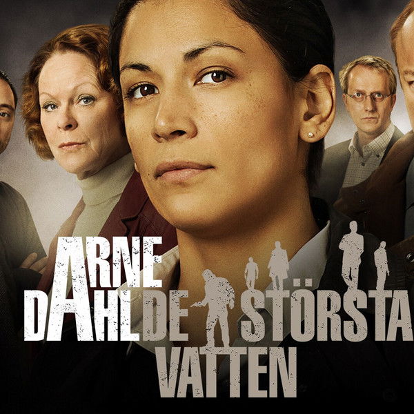 Arne Dahl: Many Waters