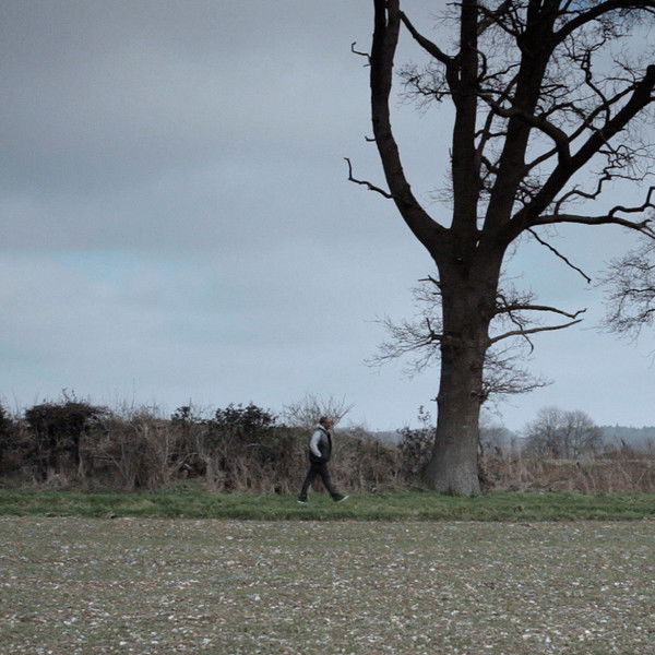 Not Far from the Tree