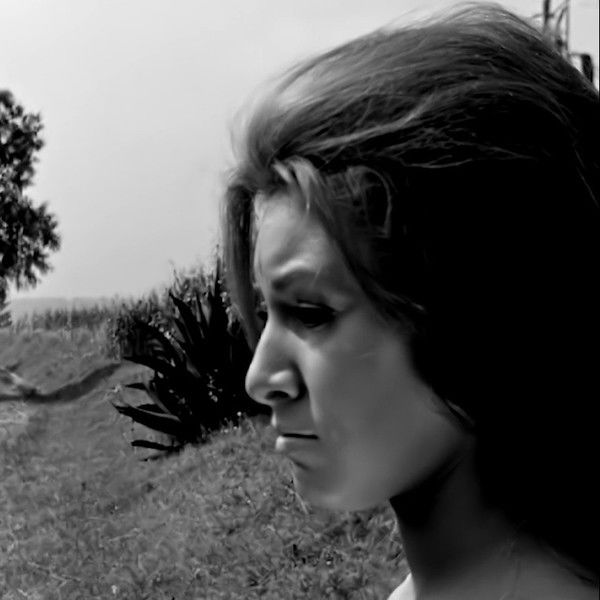 Crosses Over the Wasteland