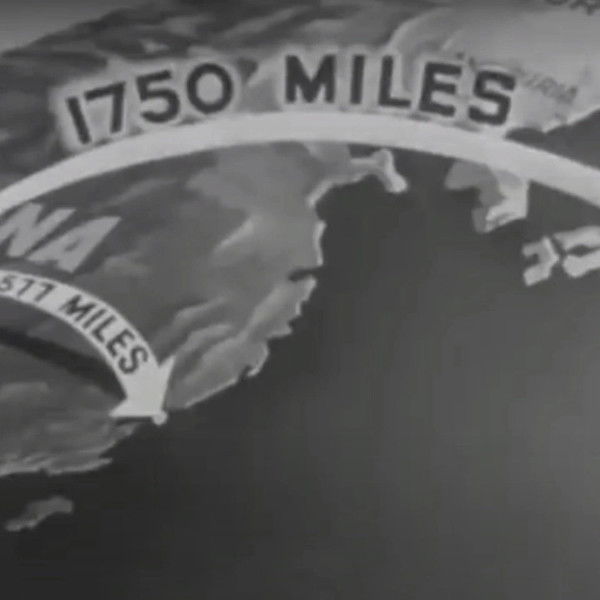 War Department Report