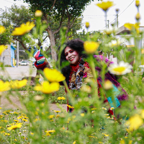 Crazy Wordy Lonely Lady