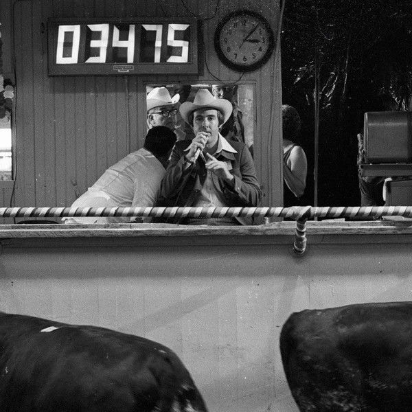 How Much Wood Would a Woodchuck Chuck