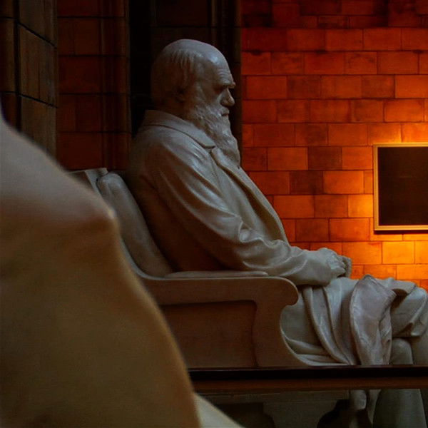 Expelled: No Intelligence Allowed