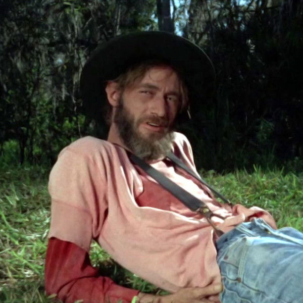 Cottonpickin' Chickenpickers