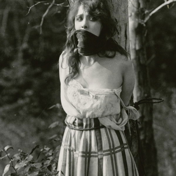 Under the Greenwood Tree