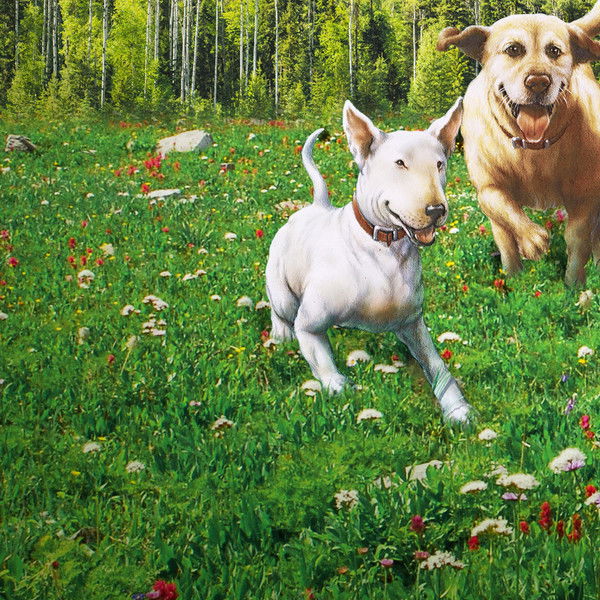 The Incredible Journey