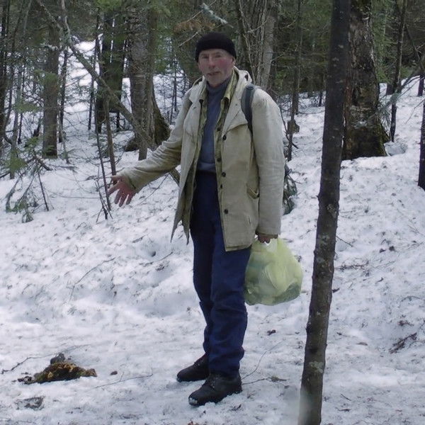 Territory Of Liberty