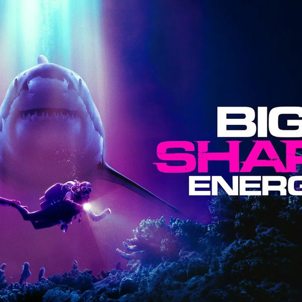 Big Shark Energy