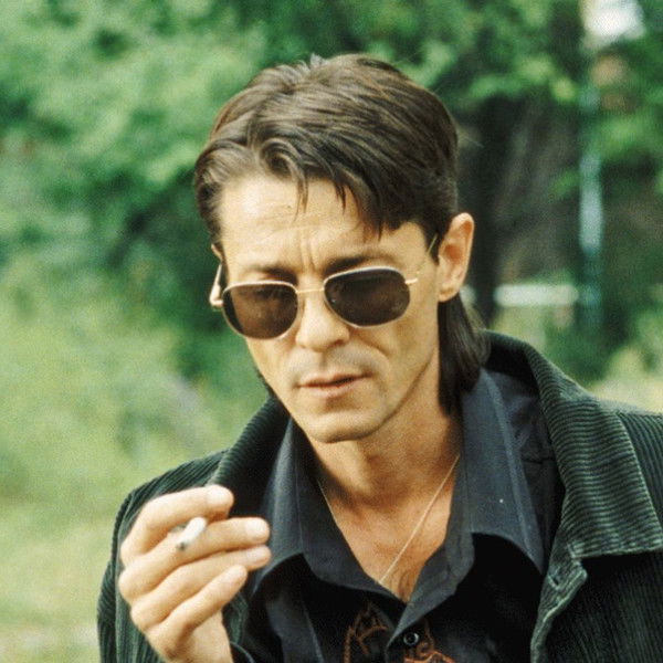 Swallows Have Arrived