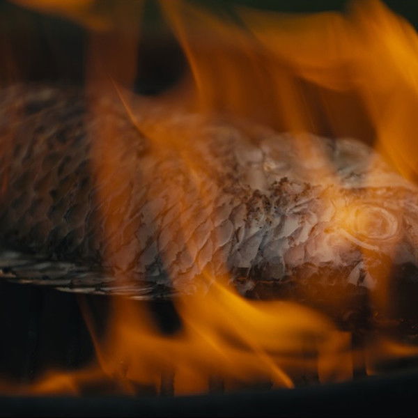 FOUR ARMS, FOUR LEGS AND TWO FACES