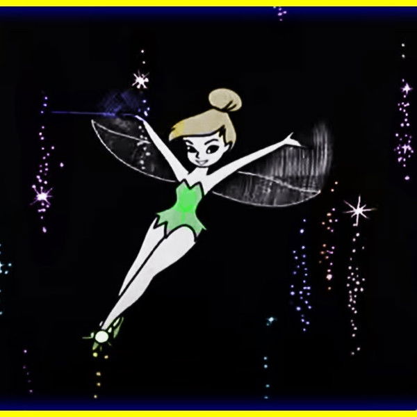 The Disneyland Story