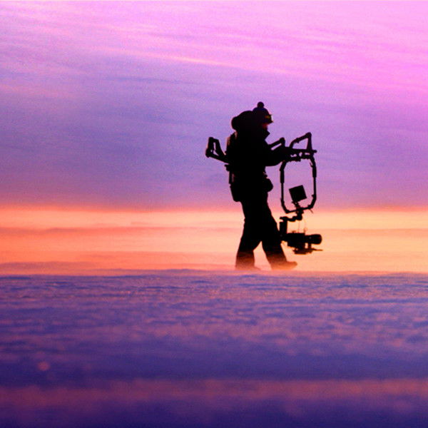 Penguins: Life on the Edge