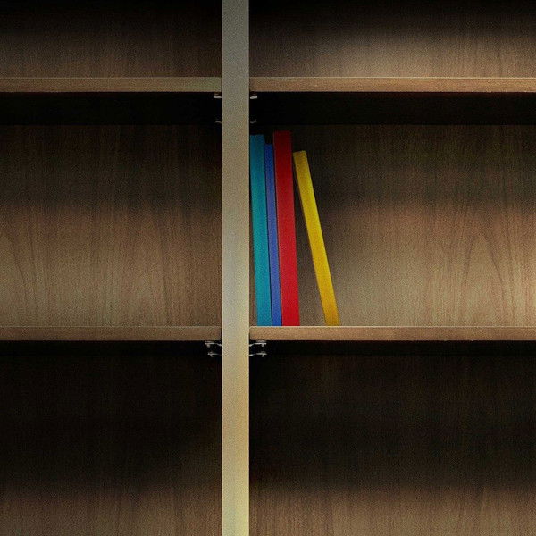 The ABCs of Book Banning