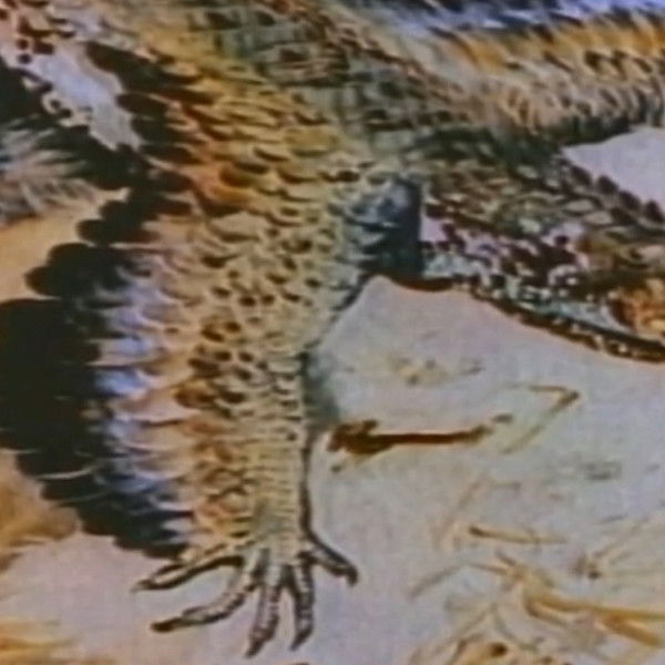 The Case of the Flying Dinosaur