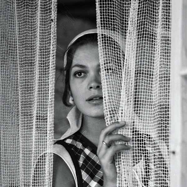 Spring in the Forest