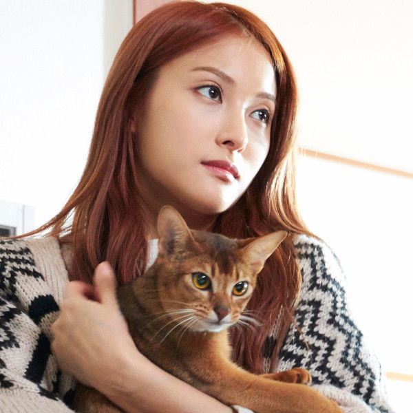 How to Break up with My Cat