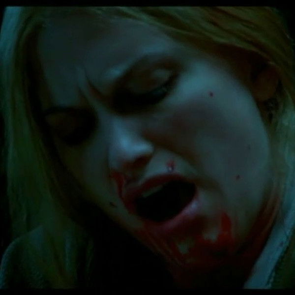 KatieBird* Certifiable Crazy Person