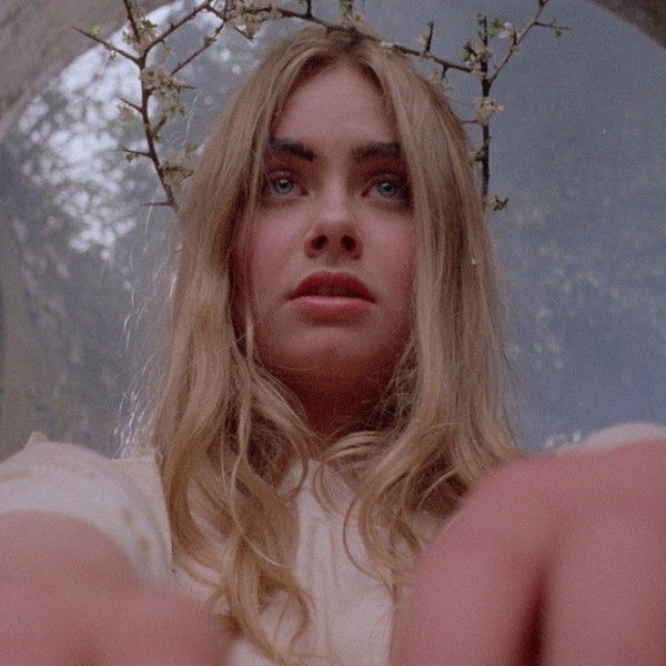 Woodlands Dark and Days Bewitched: A History of Folk Horror