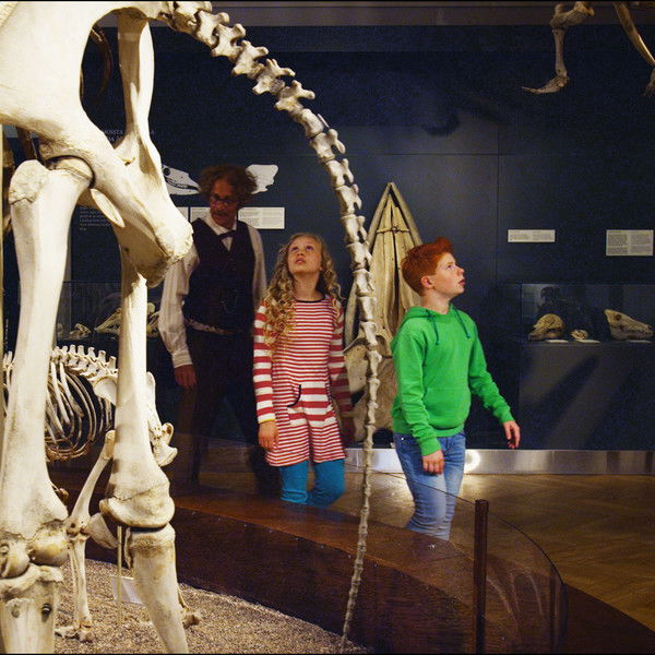 Ricky Rapper and the Nighthawk