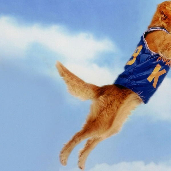 Air Bud