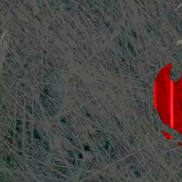 J - Inside Jack the Ripper's mind