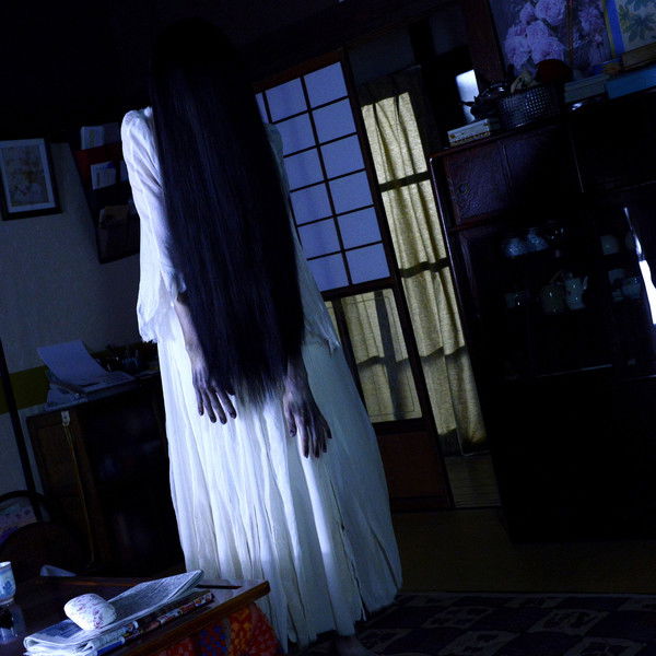 Sadako vs. Kayako
