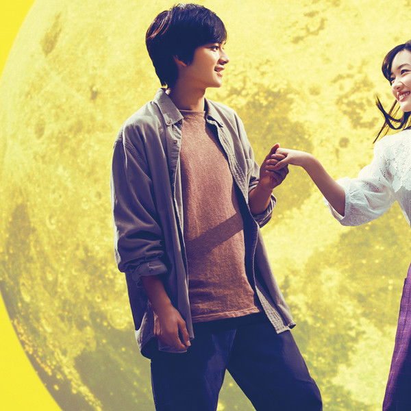 You Shine in the Moonlight