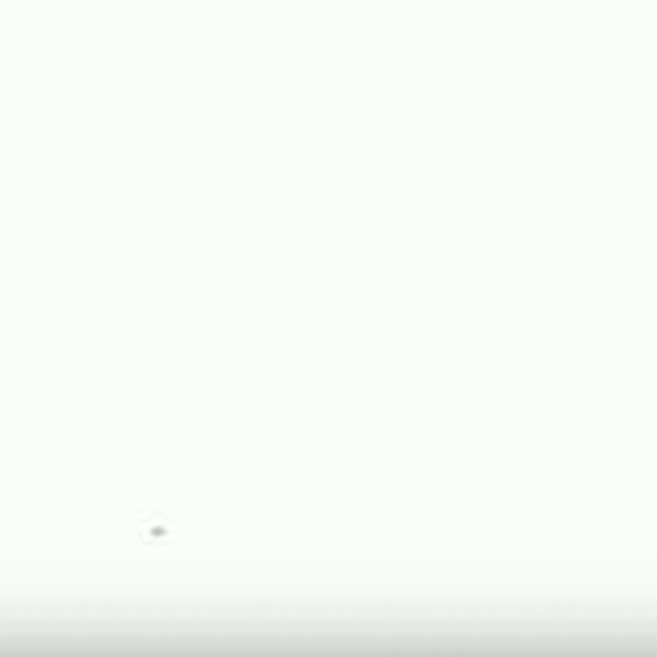 Howlings in Favour of De Sade