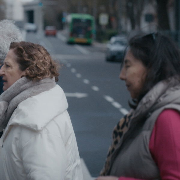 El lado más bestia de la vida