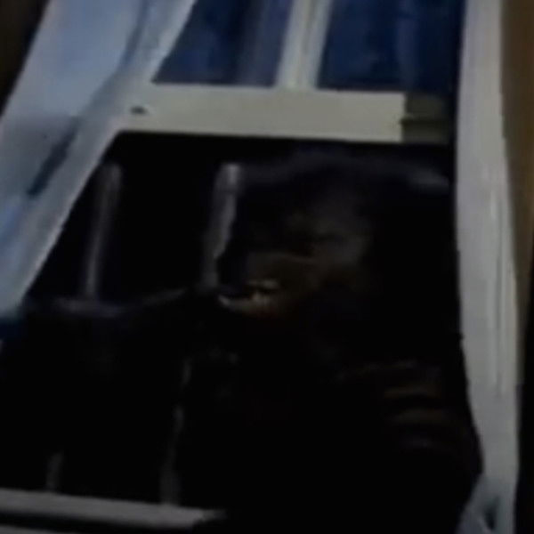 Goosebumps: Werewolf Skin