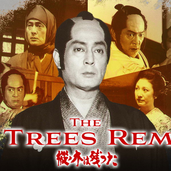 The Fir Trees Remain