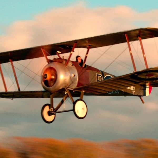 The Millionaires' Unit