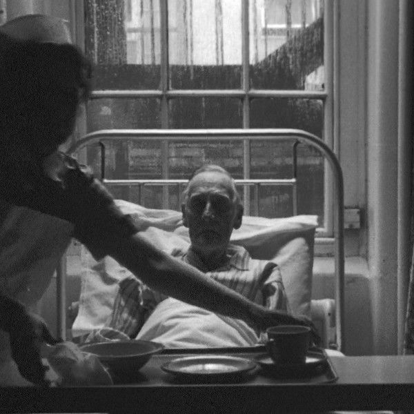 Death and Transfiguration