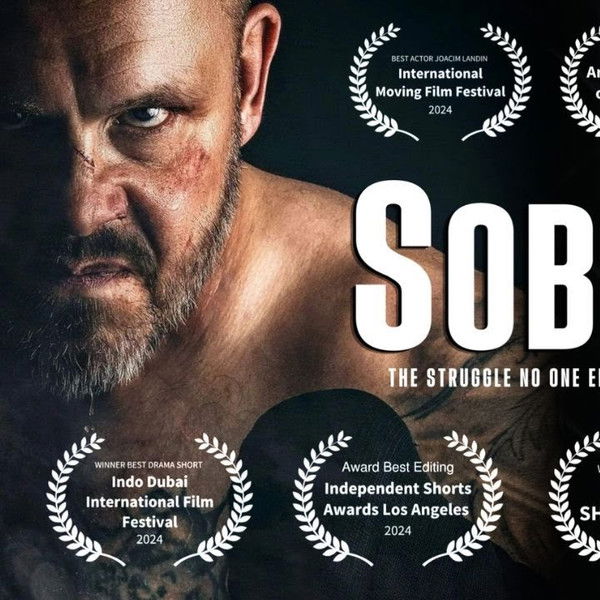 Sober: The Struggle No One Else Can See