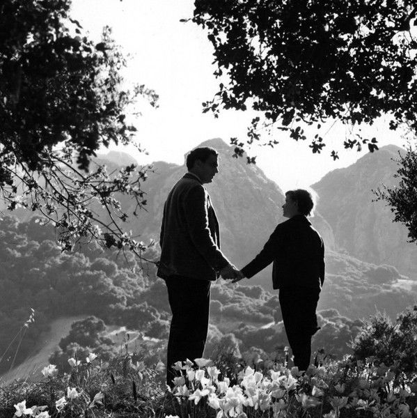 How Green Was My Valley