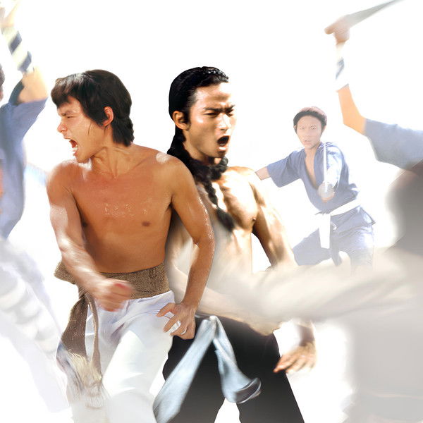 The Shaolin Avengers