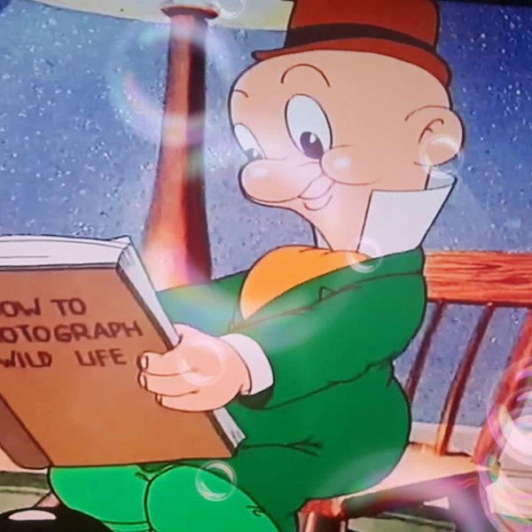 Looney Tunes Spotlight Collection: The Premiere Edition