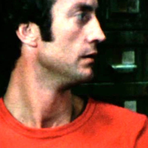 The Love Letters from Teralba Road