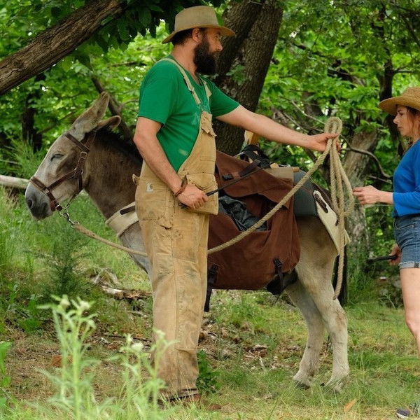 My Donkey, My Lover & I