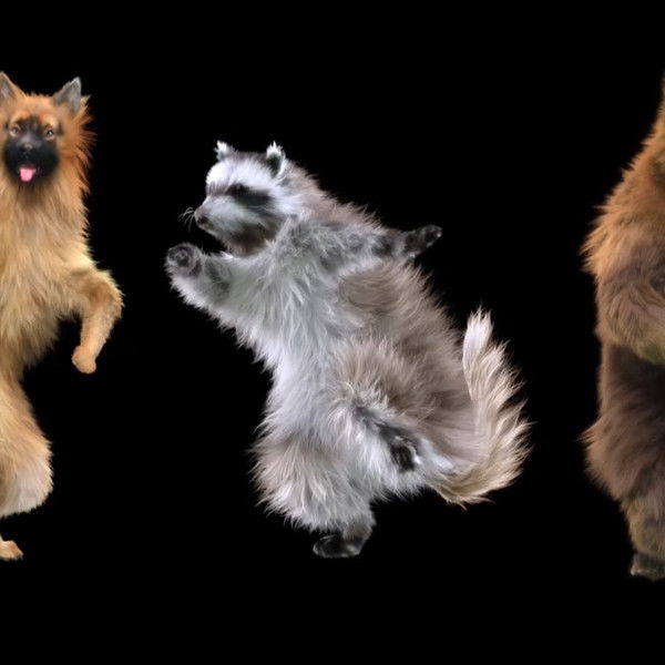 Animals: Drugs, Sex and Fun!