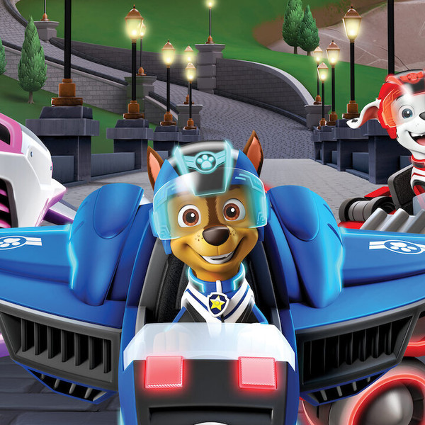 PAW Patrol: Jet to the Rescue