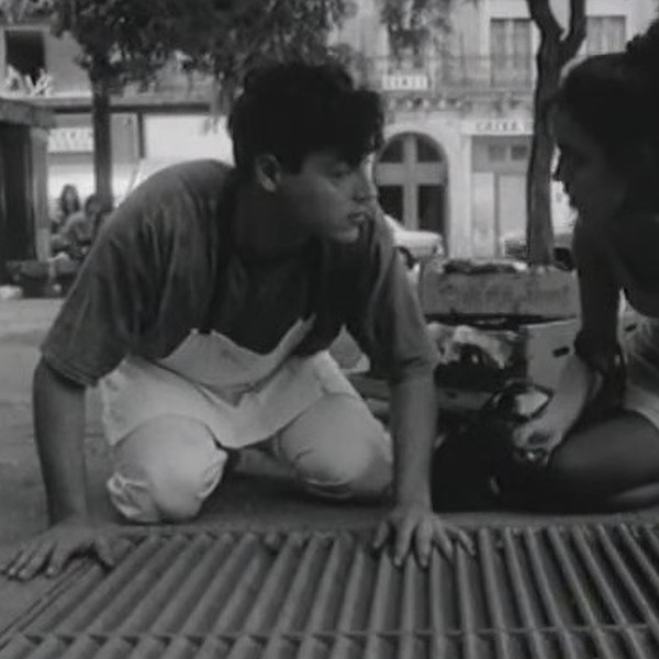 The Marvellous World of the Cucu Bird