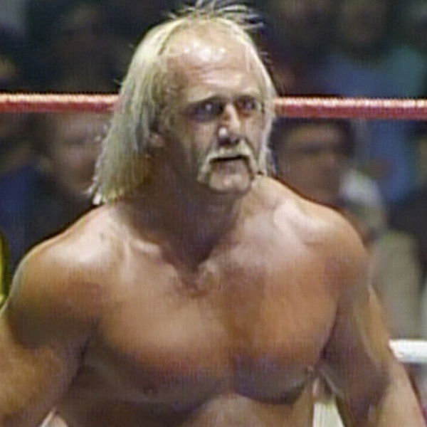 The Hulkster Hulk Hogan