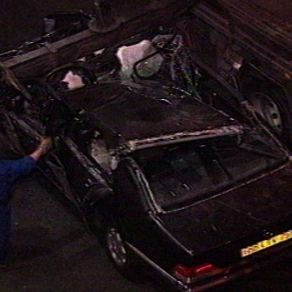 Diana: Conspiracy Theories