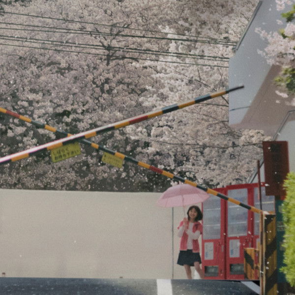 5 Centimeters per Second