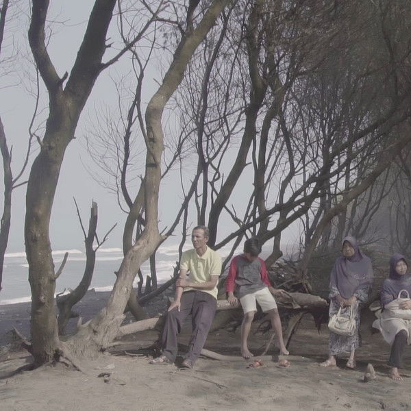 Regards from the Southern Crab